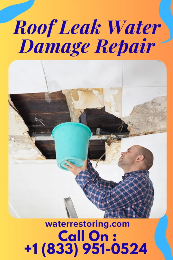 Roof Leak Water Damage Repair in Cooleemee, NC