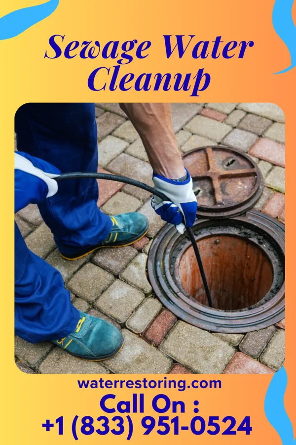 Sewage Water Cleanup in Cooleemee, NC